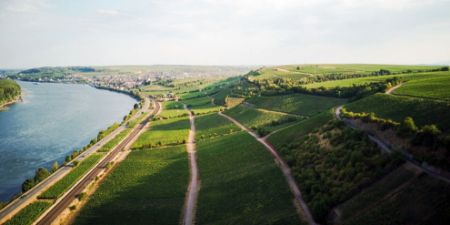 Zobrazit produkty v kategorii Rheinhessen Obrázek pro kategorii Rheinhessen