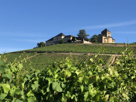 Zobrazit produkty v kategorii Rheingau Obrázek pro kategorii Rheingau